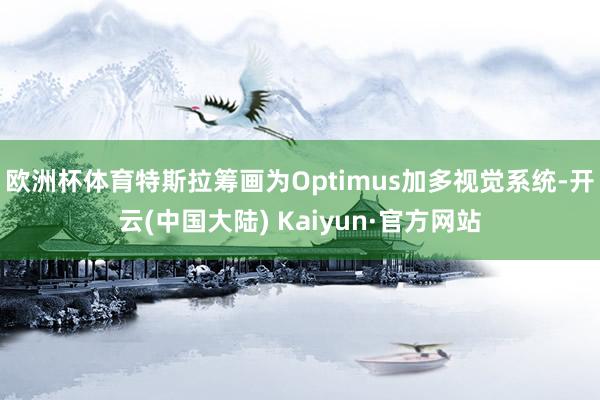 欧洲杯体育特斯拉筹画为Optimus加多视觉系统-开云(中国大陆) Kaiyun·官方网站